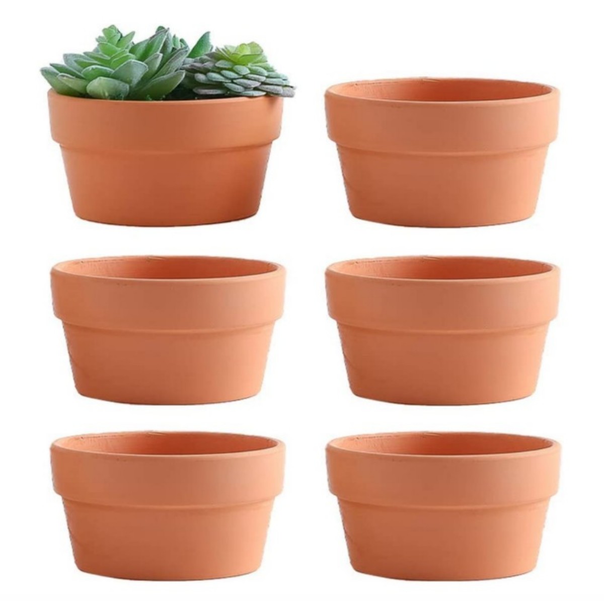 6 PCS Terracotta Buld Pots 3.5 - Aloe Vera Pot recension och pris