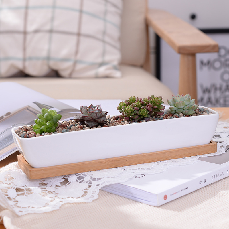 Long Rectangle White Ceramic S - Aloe Vera Pot recension och pris