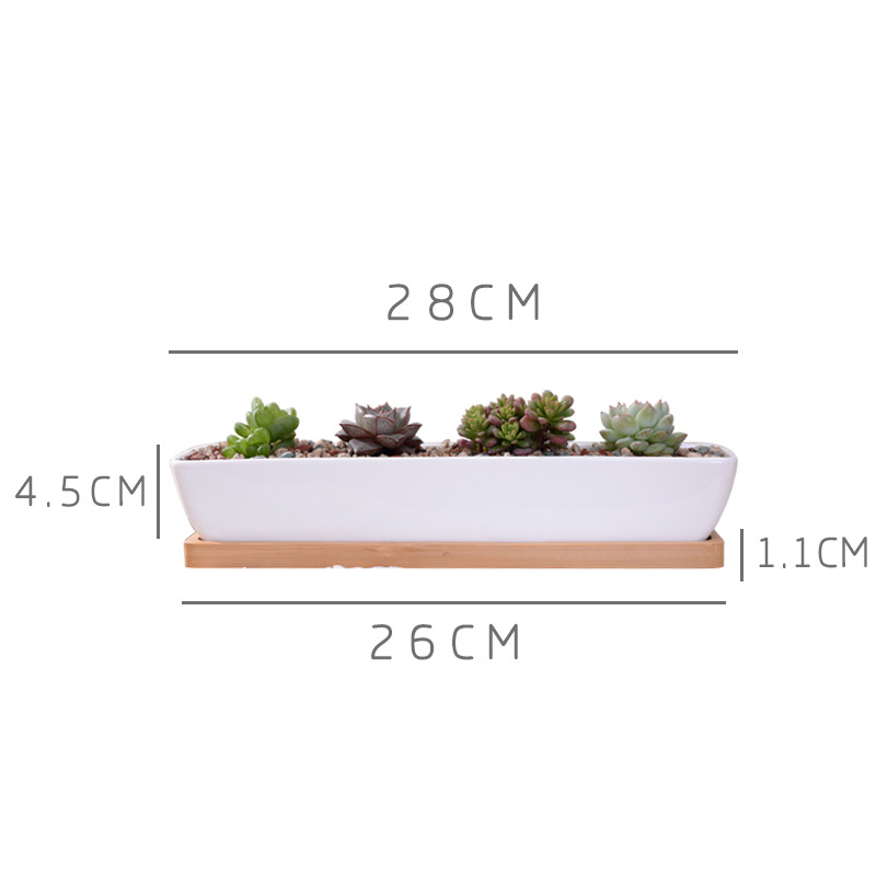 Long Rectangle White Ceramic S - Aloe Vera Pot recension och pris