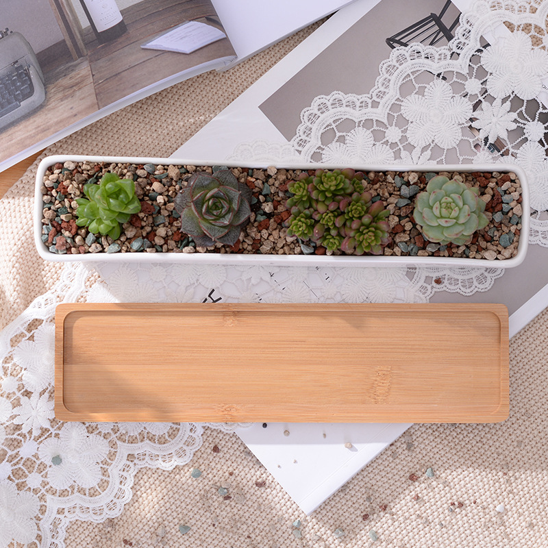 Long Rectangle White Ceramic S - Aloe Vera Pot recension och pris