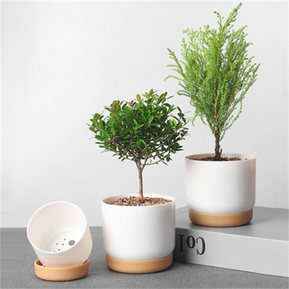 Round Green Plant Garden Suppl - Aloe Vera Pot recension och pris