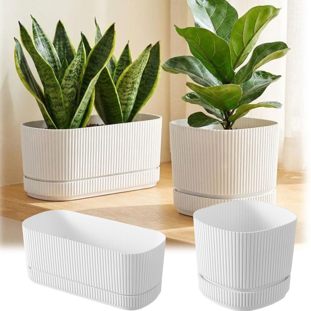 Plastic Self Watering Flower P - Aloe Vera Pot recension och pris