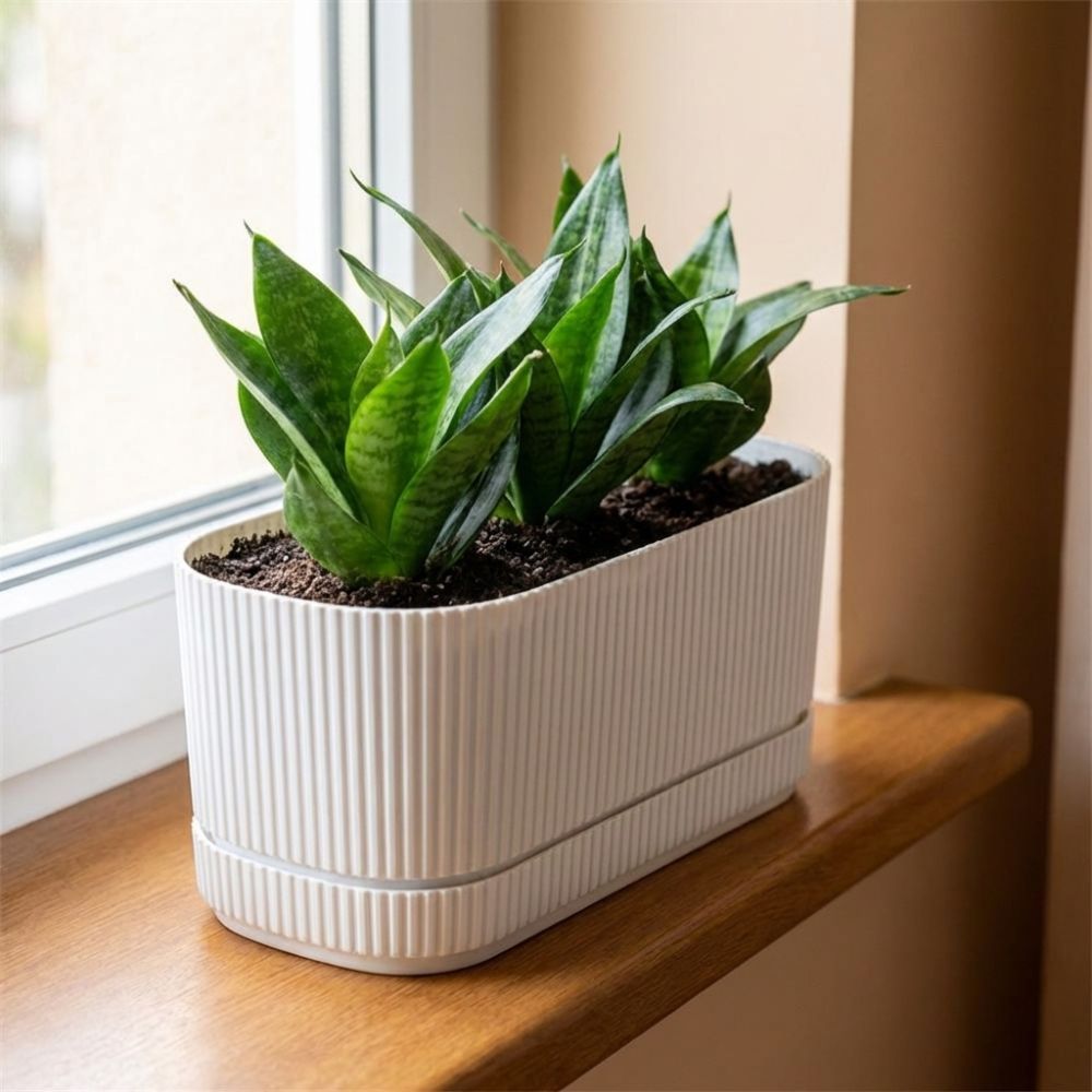 Plastic Self Watering Flower P - Aloe Vera Pot recension och pris