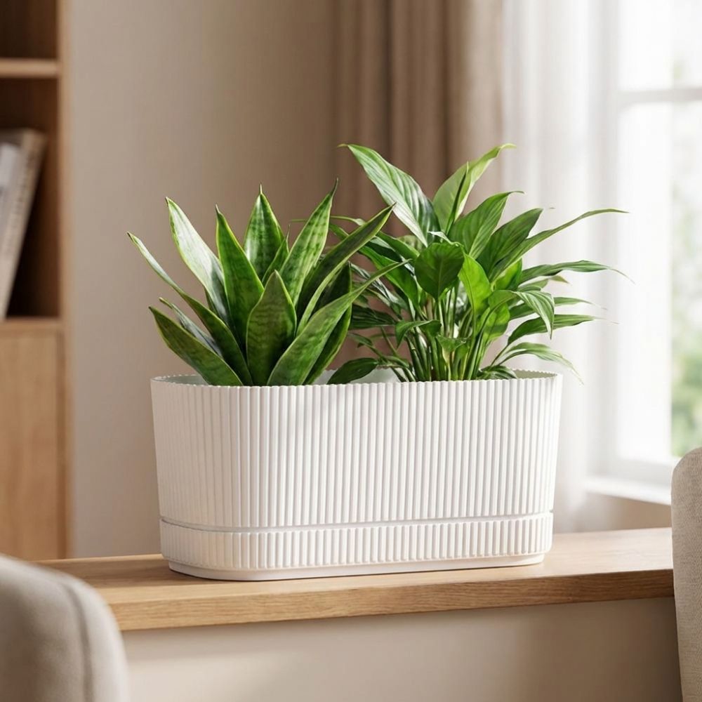Plastic Self Watering Flower P - Aloe Vera Pot recension och pris