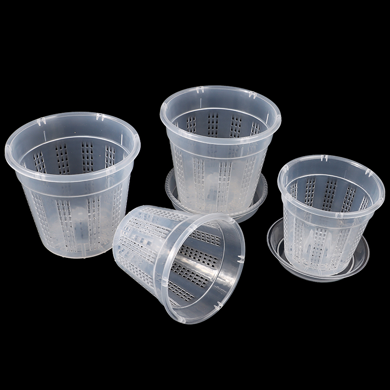 Household Garden Planter Hollo - Aloe Vera Pot recension och pris