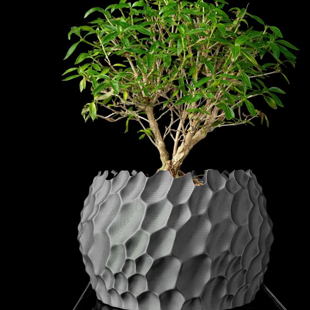Textured Flower Pot Irregular  - Aloe Vera Pot recension och pris