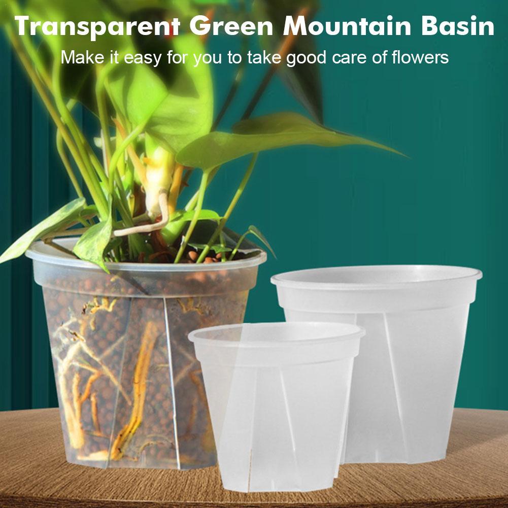 Transparent Plastic Pots Root  - Aloe Vera Pot recension och pris