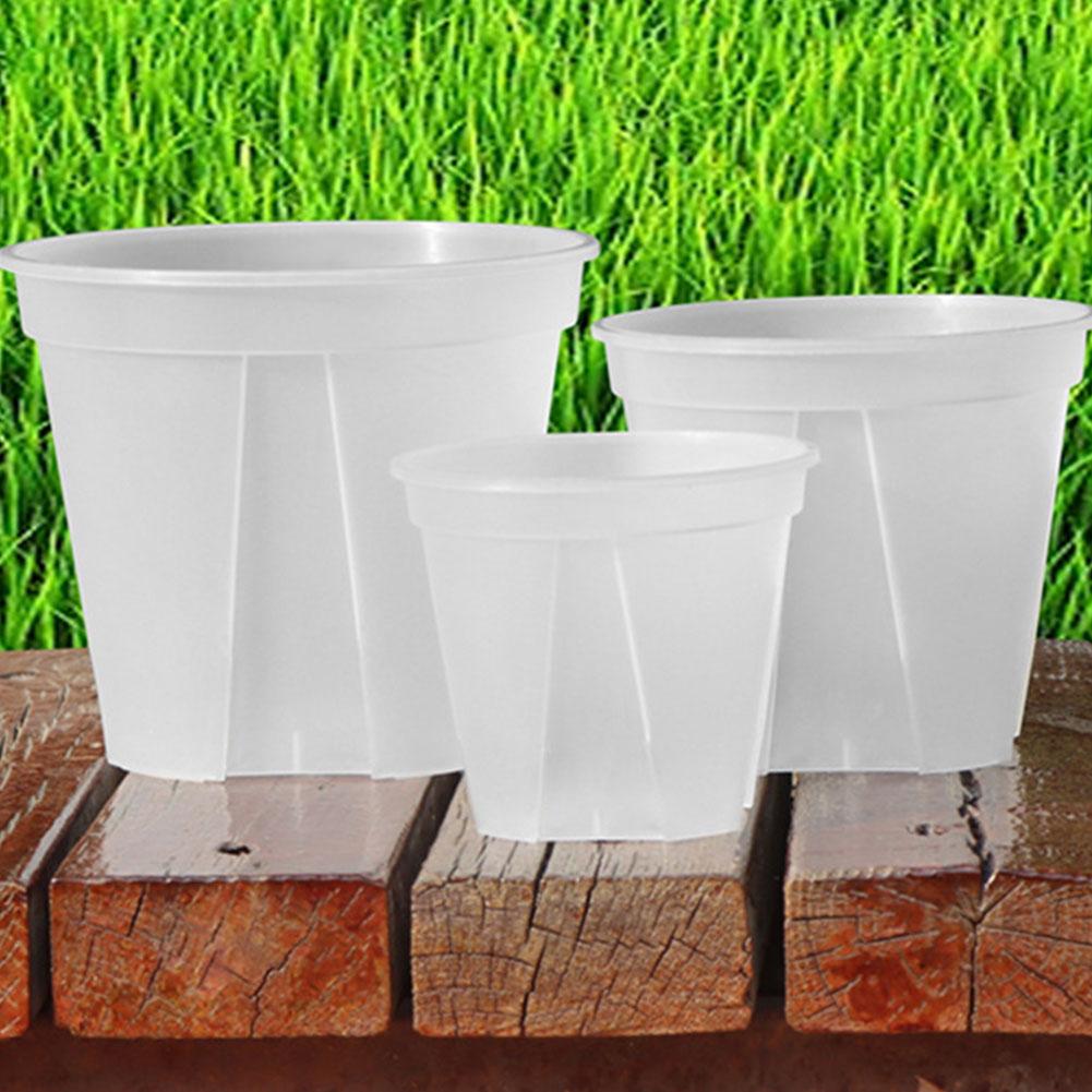 Transparent Plastic Pots Root  - Aloe Vera Pot recension och pris