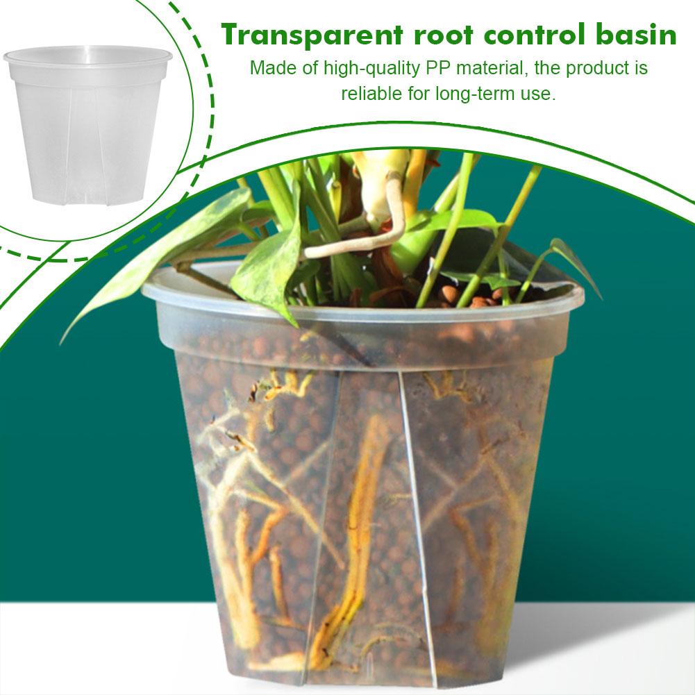 Transparent Plastic Pots Root  - Aloe Vera Pot recension och pris