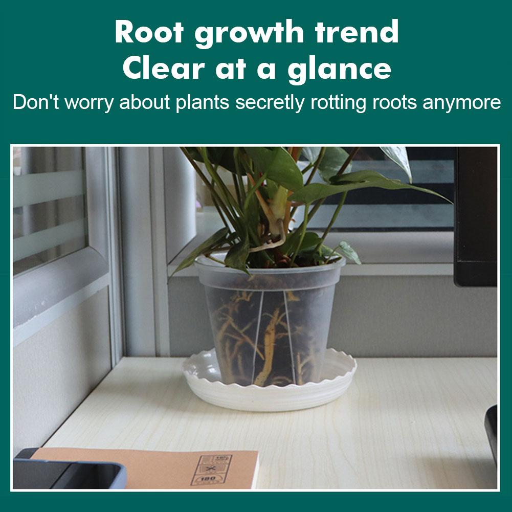 Transparent Plastic Pots Root  - Aloe Vera Pot recension och pris