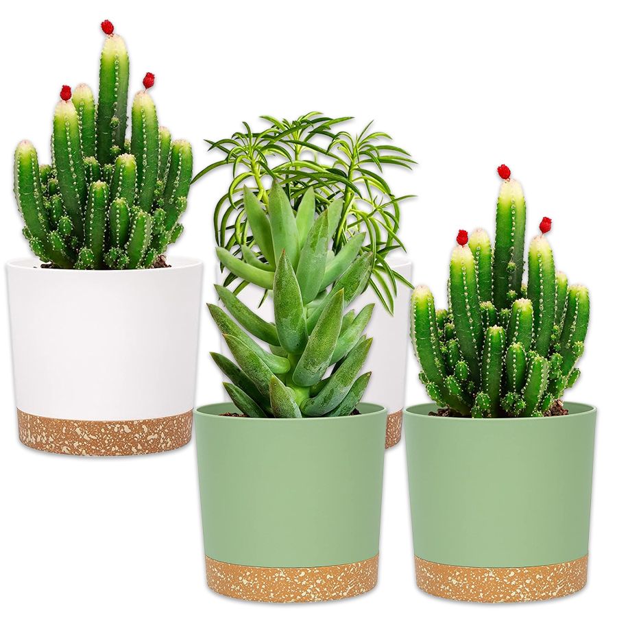 Plant Pot, 2 Pack Planters for - Aloe Vera Pot recension och pris