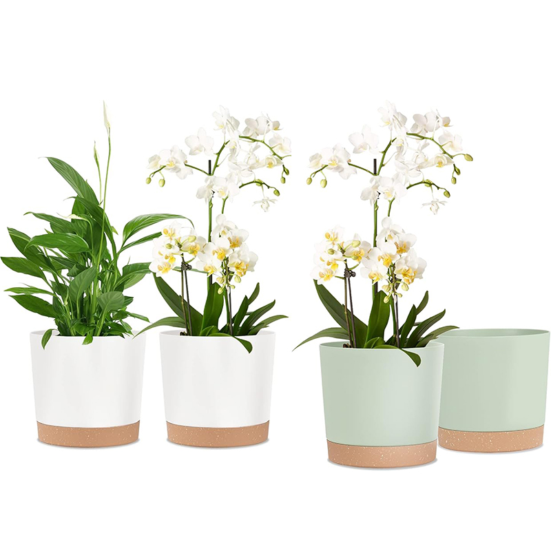 Plant Pot, 2 Pack Planters for - Aloe Vera Pot recension och pris